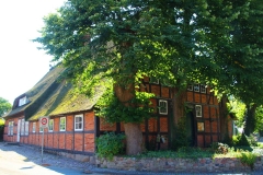 Cuxland, Hagen-Bramstedt 2017, Niedersachsenhaus