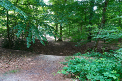 Cuxland-Beverstedt-2025-Monsilienburg-Wellen