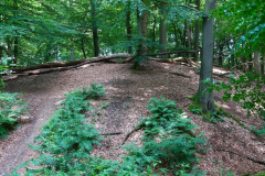 Cuxland-Beverstedt-2025-Monsilienburg-Wellen