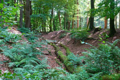 Cuxland-Beverstedt-2025-Monsilienburg-Wellen