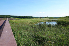 Cuxland-Geestland-2025-Geestebrücke