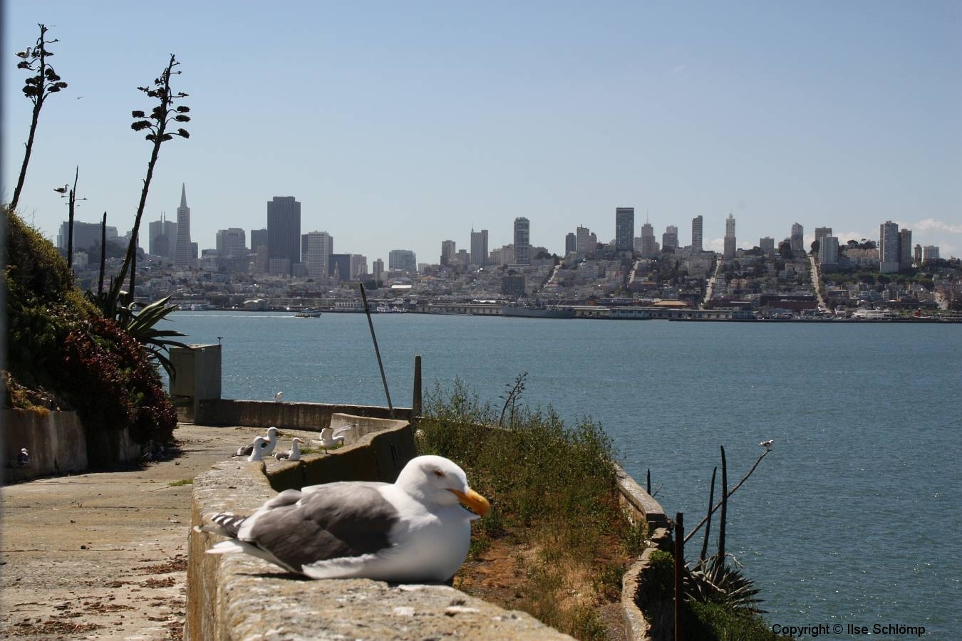 San Francisco, Blick von Alcatraz auf San Francisco