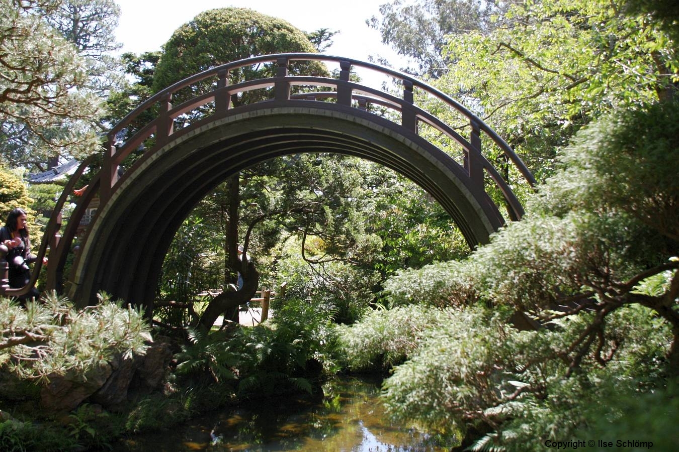San Francisco, Japanischer Garten, Geschwungene Holzbrücke