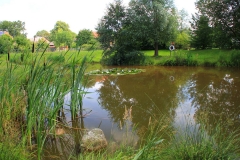 Cuxland, Stinstedt, Am Teich, Sommer 2011