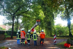 Cuxland, Stinstedt, Oktober 2017, Die Feuerwehr beseitigt Schäden an den Eichen in der Ringstraße, die Sturmtief Xavier hinterlassen hat