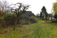 Cuxland, Stinstedt, November 2023, Schneide- und Aufräumarbeiten am Regenrückhaltebecken