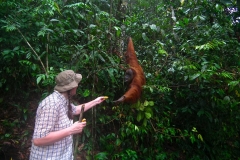 Sumatra, Leuser Nationalpark