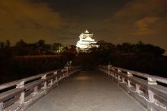 Japan, Osaka, Burg Osaka bei Nacht