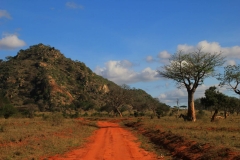 Kenia, Tsavo Ost