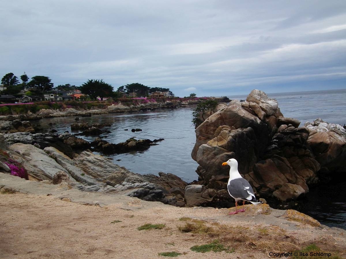 USA, Kalifornien, Monterey