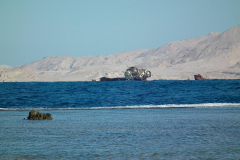 Ägypten, Rotes Meer, Sharm El Sheikh 2011