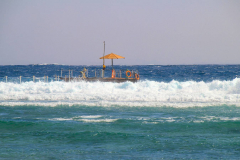 Ägypten, Rotes Meer, Sharm El Sheikh 2011