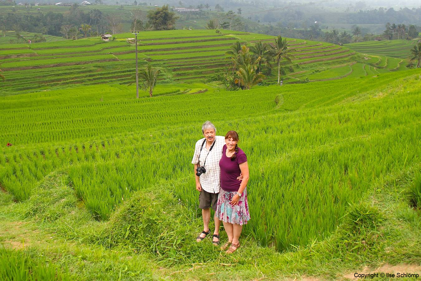 Bali, Reisterrassen bei Jatiluwih