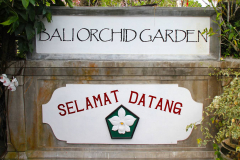 Bali, Denpasar, Orchideen Garten