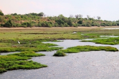Botswana, Chobe-Fluss