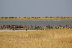 Botswana, Nata Vogelschutzzentrum