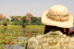 Botswana, Okavango Delta, Mokoro-Tour