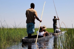 Botswana, Okavango Delta, Mokoro-Tour