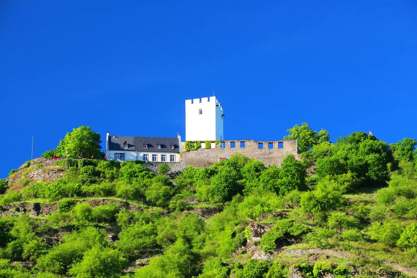 Burg Sterrenberg, Kamp-Bornhofen, Rheinland-Pfalz