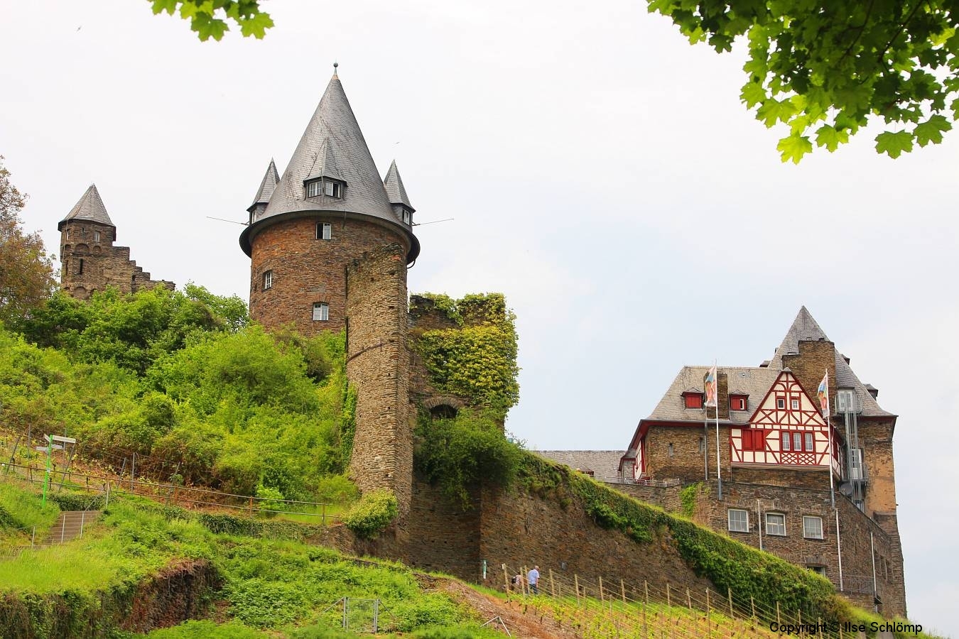 Burg Stahleck, Bacharach, Rheinland-Pfalz