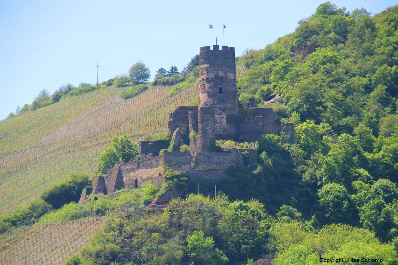 Ruine Fürstenberg, Rheindiebach, Rheinland-Pfalz