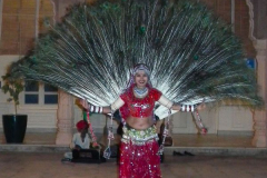Indien-Bikaner-Hotel-Lallgarh-Palace