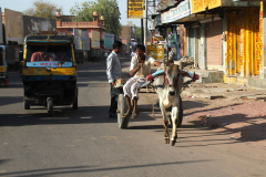 Indien-Auf-dem-Weg-nach-Sodakore