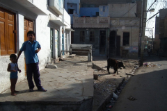 Indien-Auf-dem-Weg-nach-Sodakore