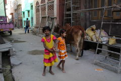 Indien-Auf-dem-Weg-nach-Sodakore