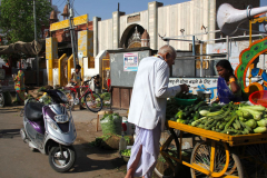 Indien-Auf-dem-Weg-nach-Sodakore