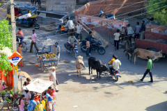 Indien-Auf-dem-Weg-nach-Sodakore