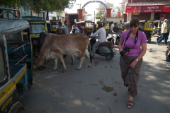 Indien-Auf-dem-Weg-nach-Sodakore