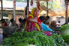 Indien-Auf-dem-Weg-nach-Sodakore-Markt