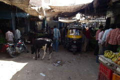 Indien-Auf-dem-Weg-nach-Sodakore-Markt