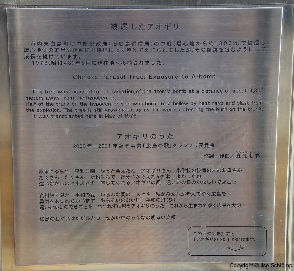 Japan, Hiroshima, Friedenspark, Gedenktafel vor den Phönixbäumen