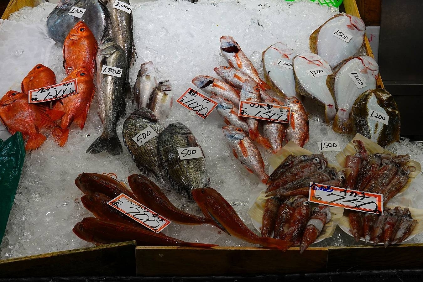 Japan, Kanazawa, Fischmarkt