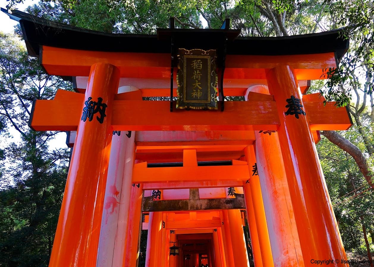 Japan, Kyoto, Fushimi Inari Schrein, Torii-Gang