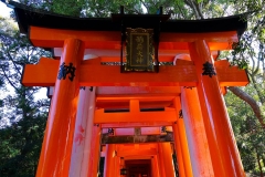 Japan, Kyoto, Fushimi Inari Schrein, Torii-Gang