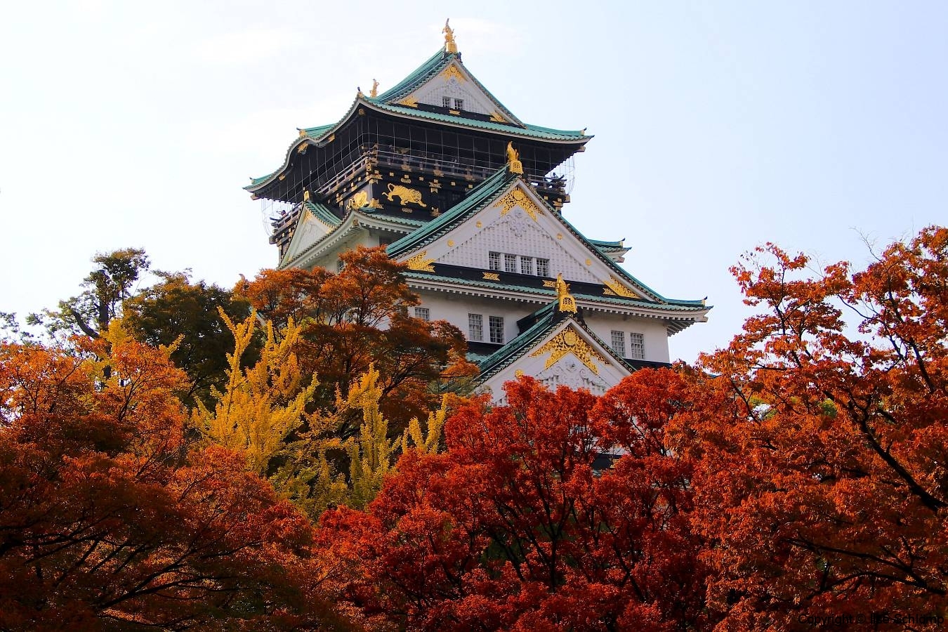 Japan, Osaka, Burg Osaka