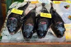 Japan, Osaka, Kuromon Market, Pufferfisch