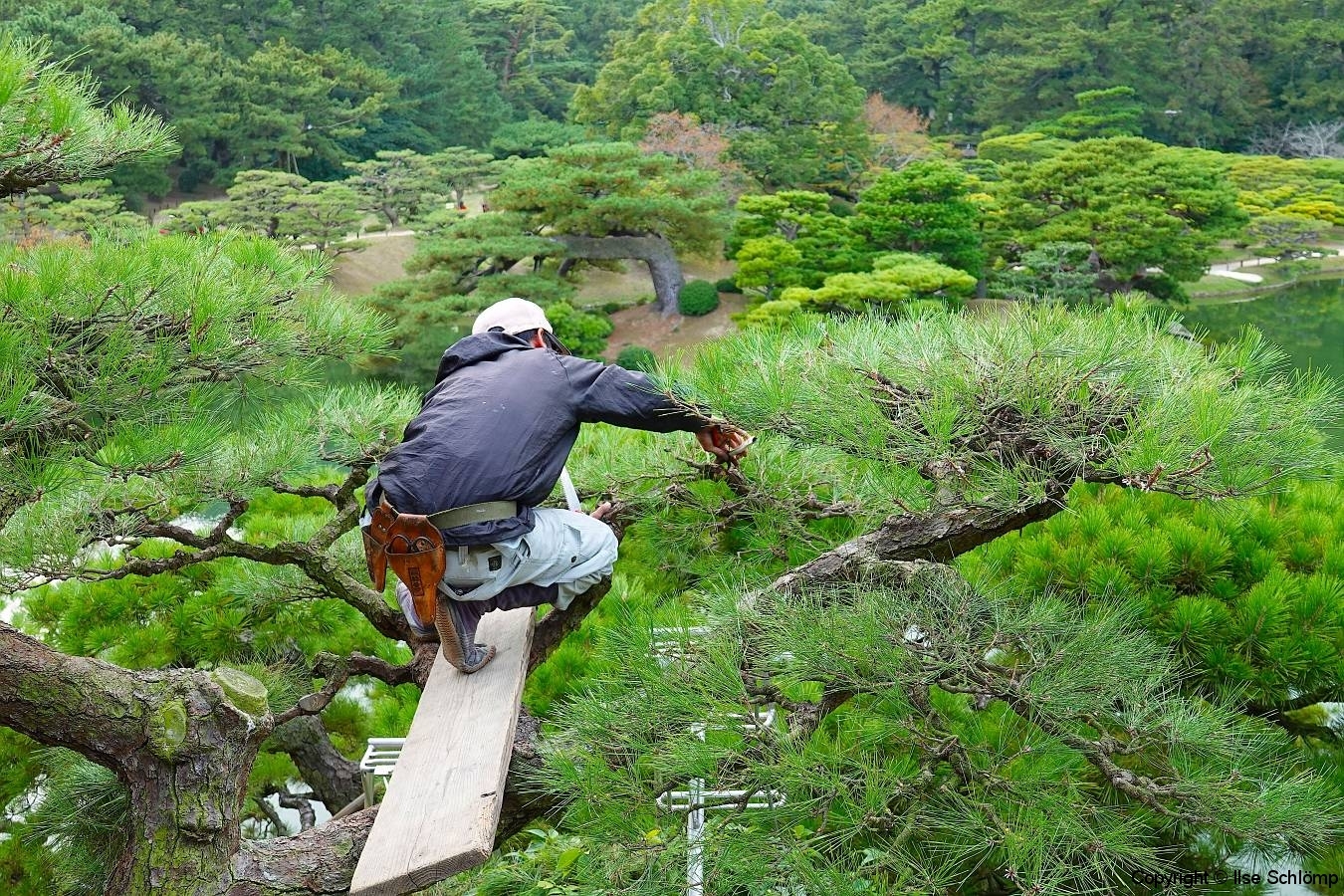 Japan, Takamatsu, Ritsurin-Koen Wandelgarten, Gärtner bei der Arbeit