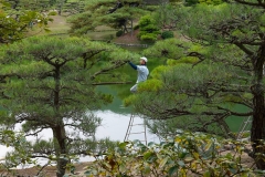 Japan, Takamatsu, Ritsurin-Koen Wandelgarten, Gärtner bei der Arbeit