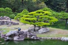 Japan, Takamatsu, Ritsurin-Koen Wandelgarten