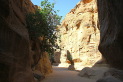Jordanien, Wadi Musa