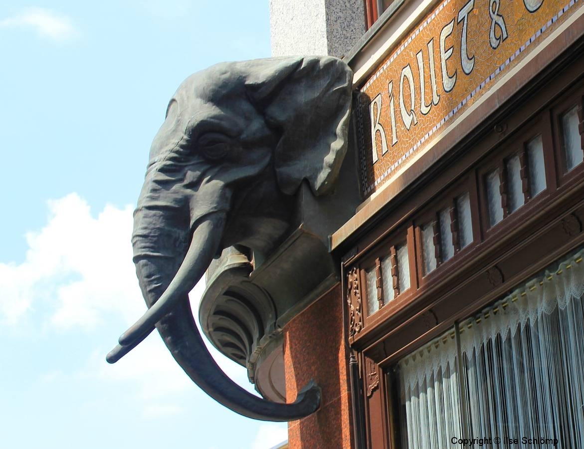Leipzig, Kaffeehaus Riquet, Elefantenkopf über dem Eingang