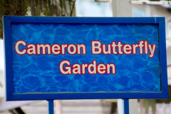 Malaysia, Cameron Highlands, Schmetterlingsfarm