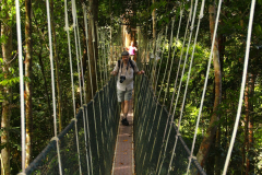 Malaysia, Nationalpark Taman Negara, Kanopi Walkway