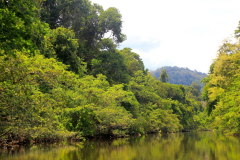 Malaysia, Taman Negara, Bootsfahrt zu den Stromschnellen von Lata Berkoh