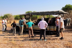 Botswana, Moremi Nationalpark, Wir stecken fest