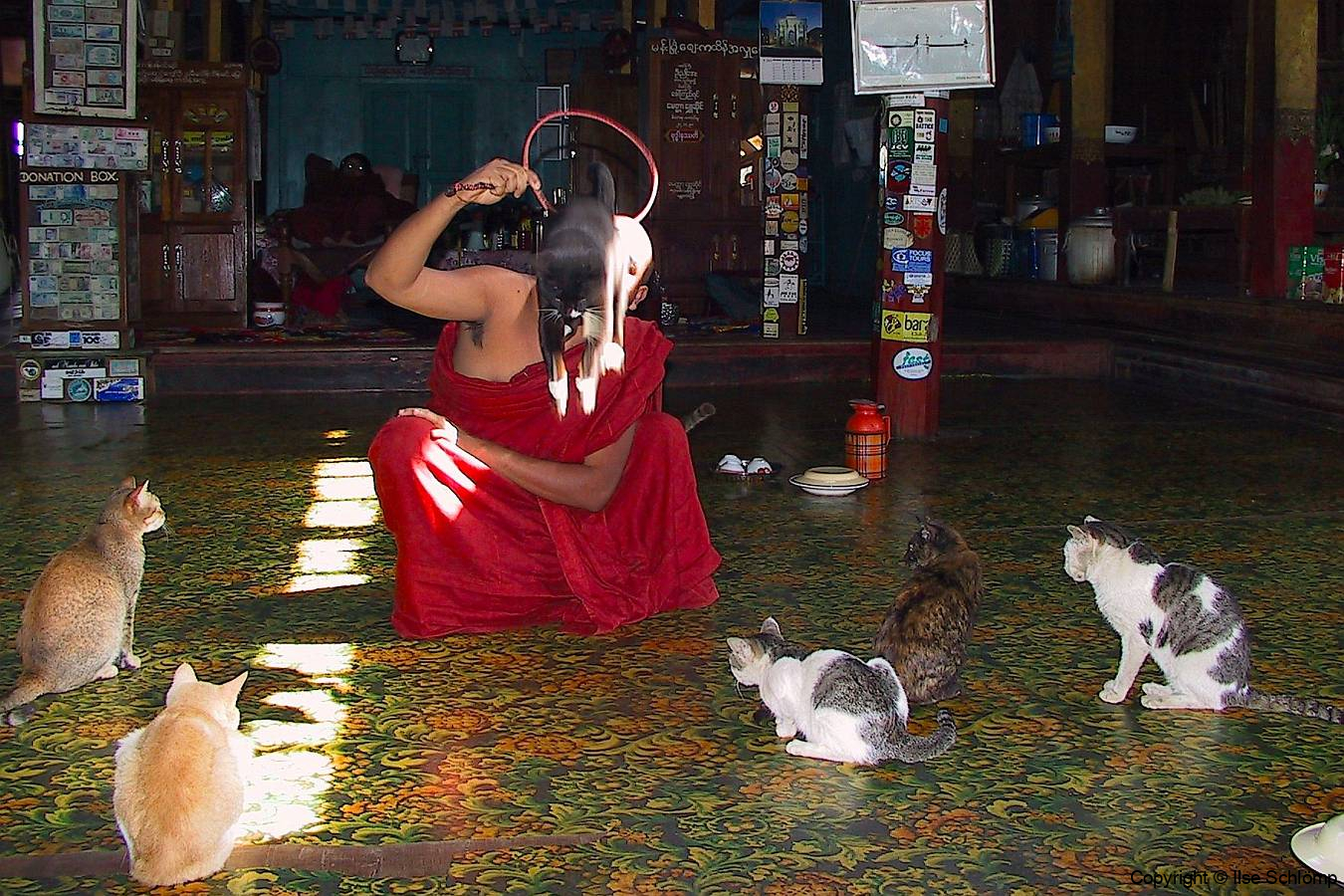 Myanmar, Inle-See, Nga Phe Kyaung Kloster, Kloster der springenden Katzen